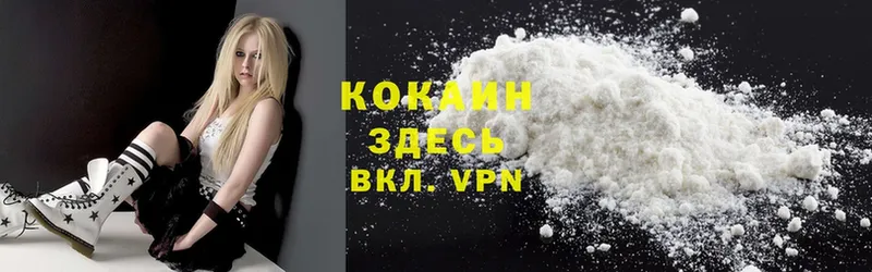 COCAIN Fish Scale  Опочка 